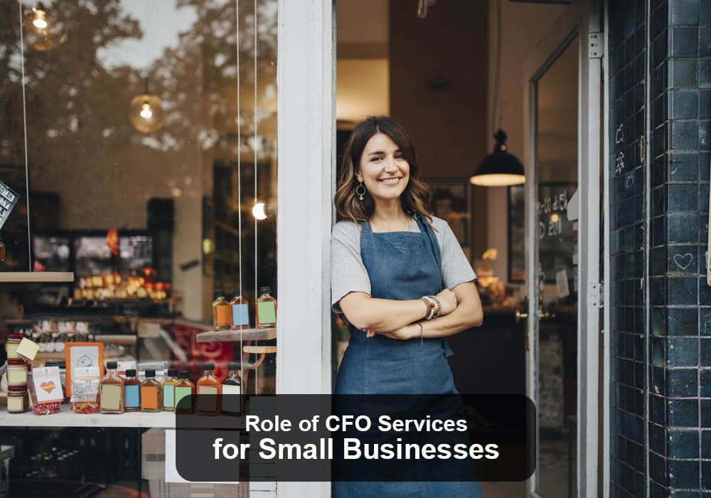 CFO Services for Small Businesses